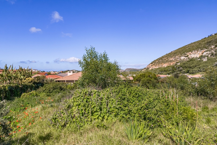 Commercial Property for Sale in Whale Rock Western Cape
